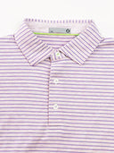 Collegiate Cloud Polo - Brookline Stripe - Classic