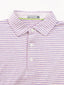 Collegiate Cloud Polo - Brookline Stripe - Classic