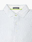 Collegiate Cloud Polo - Brookline Stripe - Classic